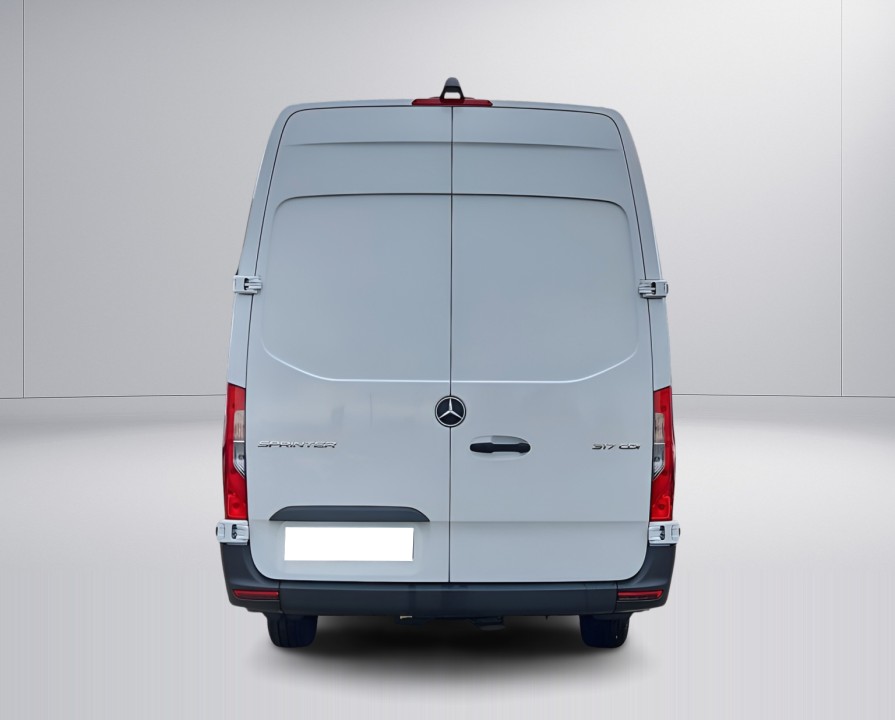 Mercedes-Benz Sprinter furgon 317CDI extralong PRO (4)