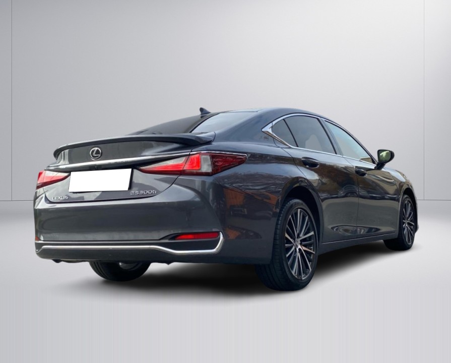 Lexus Seria ES 300h Executive (3)