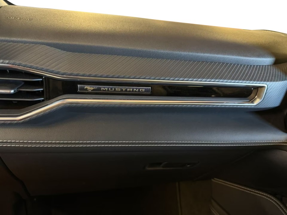 Ford Mustang EcoBoost - foto 17