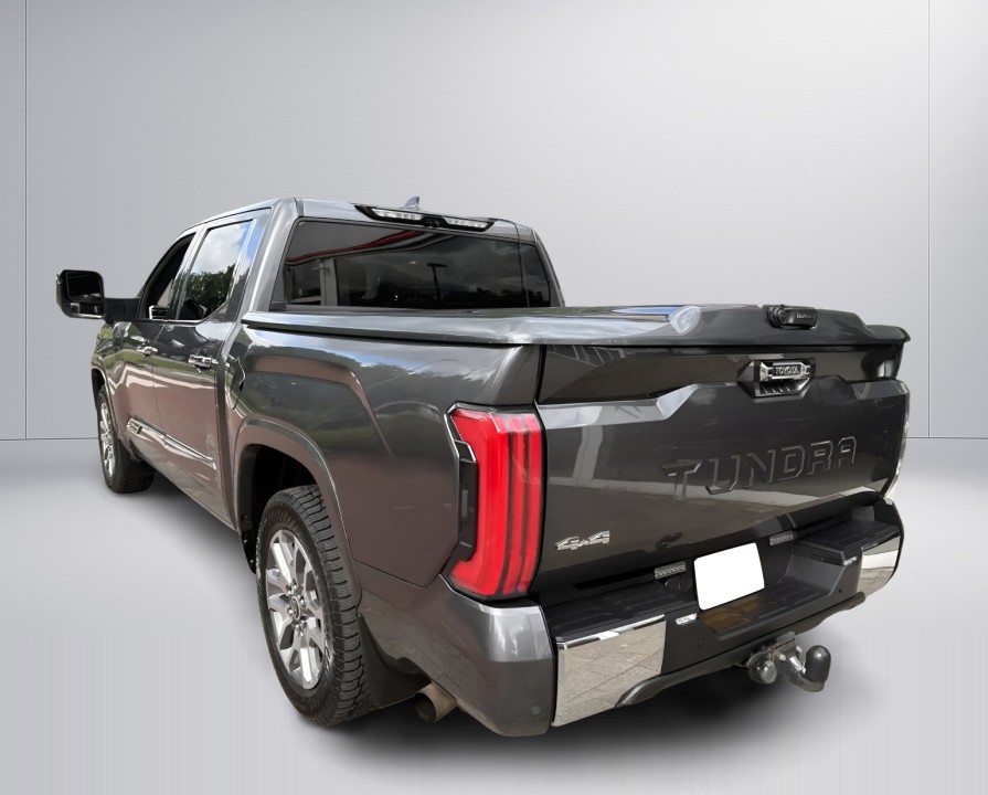 Toyota Tundra 1794 Edition (4)