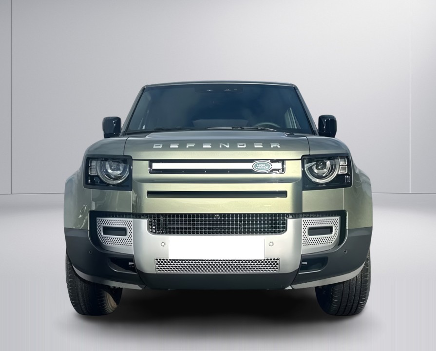 Land Rover Defender (2)