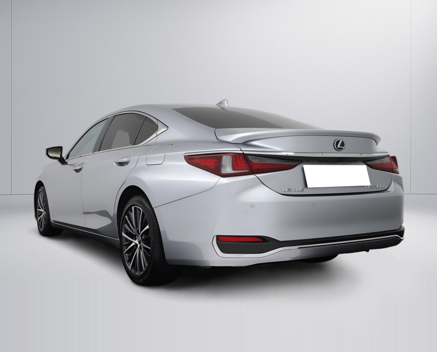 Lexus Seria ES 300h Executive Line (4)