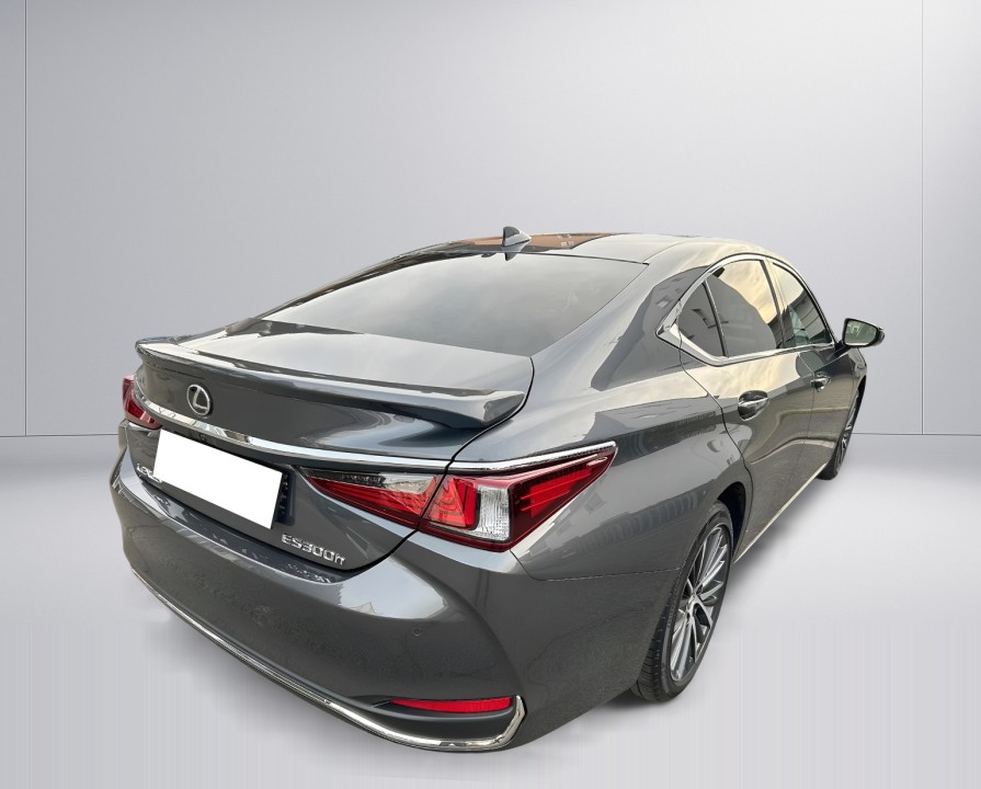 Lexus Seria ES 300h Style Edition - foto 7
