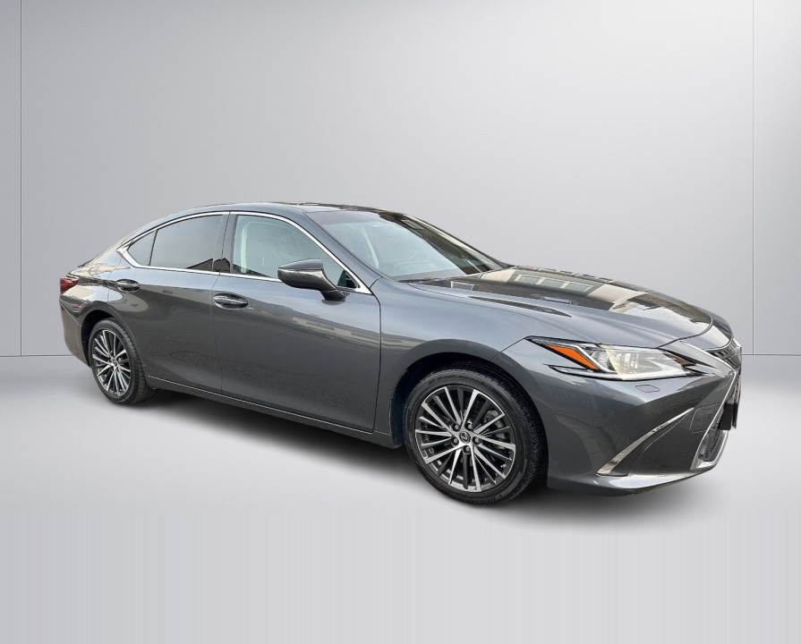 Lexus Seria ES 300h Style Edition