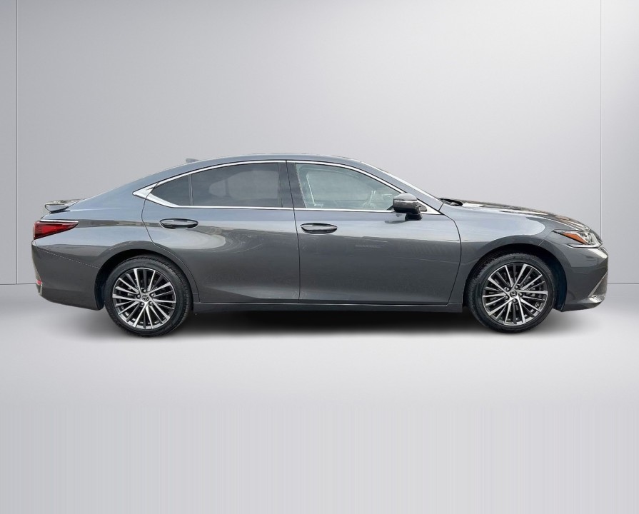 Lexus Seria ES 300h Style Edition (4)