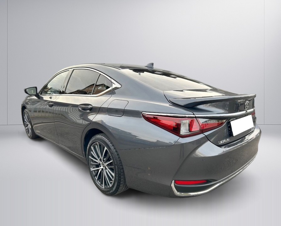 Lexus Seria ES 300h Style Edition - foto 10