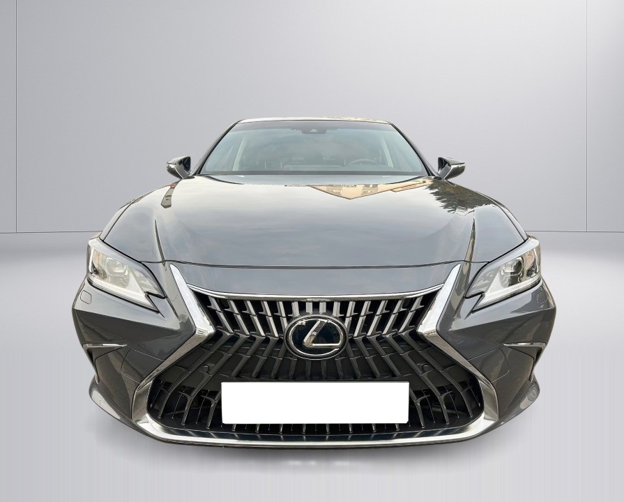 Lexus Seria ES 300h Style Edition - foto 16