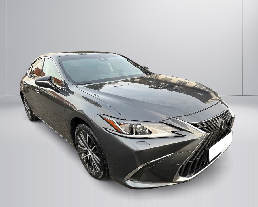 Lexus Seria ES 300h Style Edition (3)