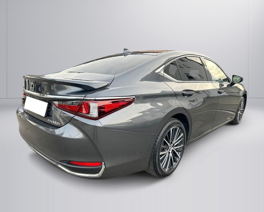 Lexus Seria ES 300h Style Edition - foto 6