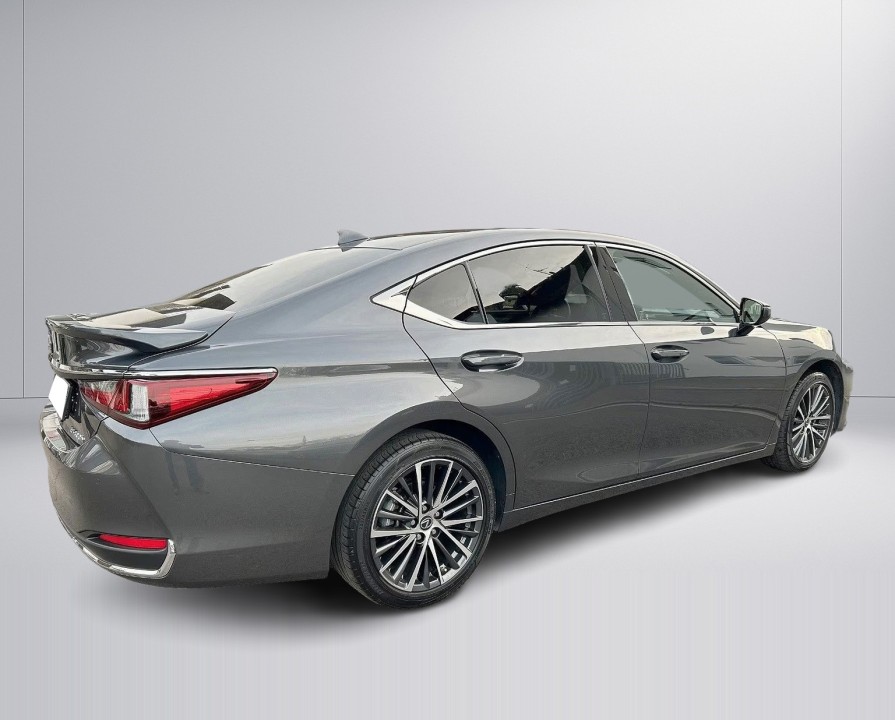 Lexus Seria ES 300h Style Edition (5)