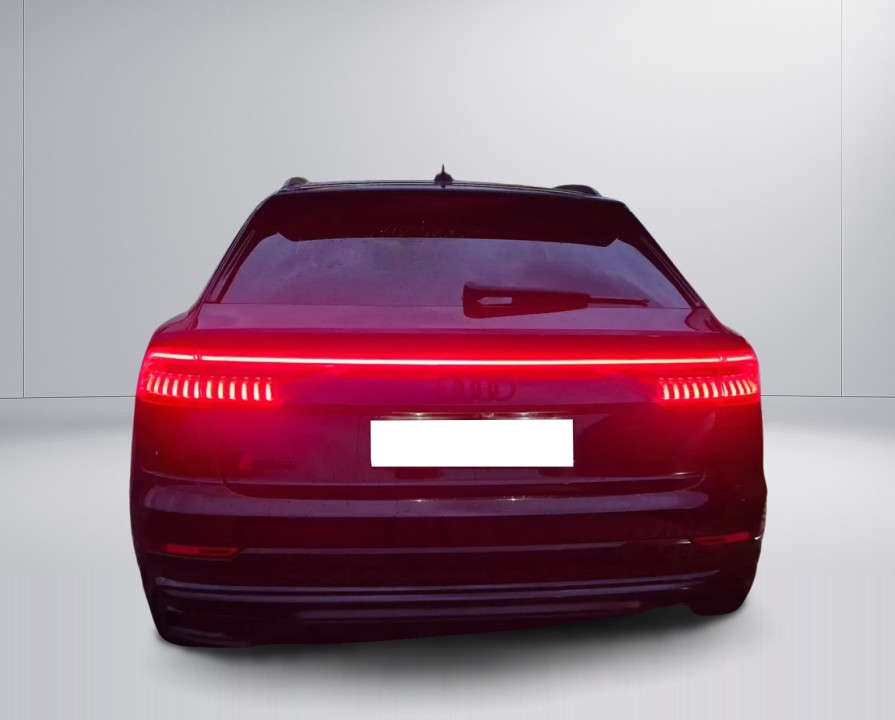 Audi Q8 50TDI quattro tiptronic S-Line (5)