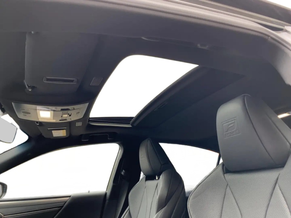 Lexus Seria ES 300h F-Sport - foto 17