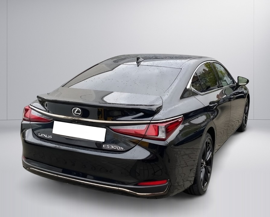 Lexus Seria ES 300h F-Sport (4)