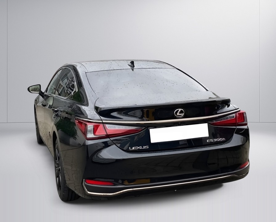 Lexus Seria ES 300h F-Sport (5)
