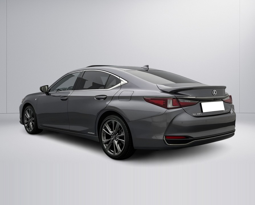 Lexus Seria ES 300h F-Sport (4)