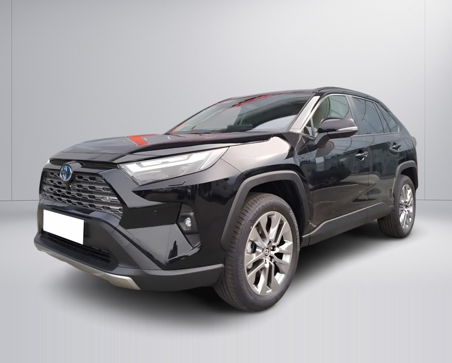 Toyota RAV4 2.5 HEV AWD Luxury Premium (3)