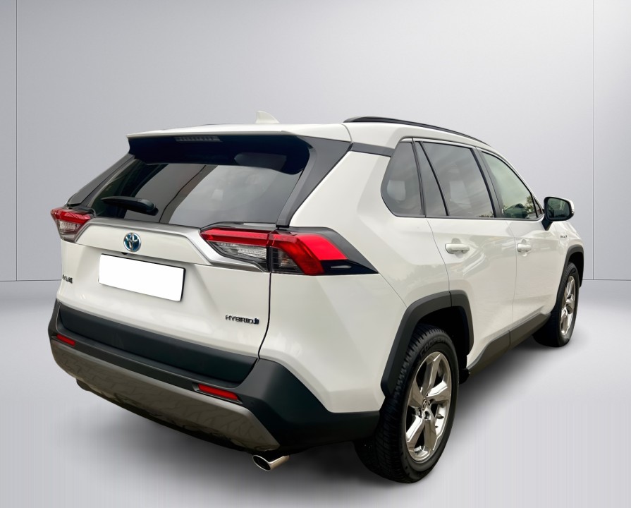 Toyota RAV4 HEV AWD Team D (4)