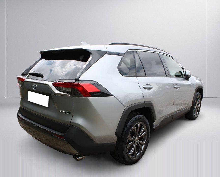 Toyota RAV4 HEV AWD Team D (3)