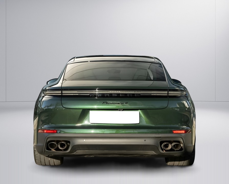 Porsche Panamera 4 E-Hybrid (4)