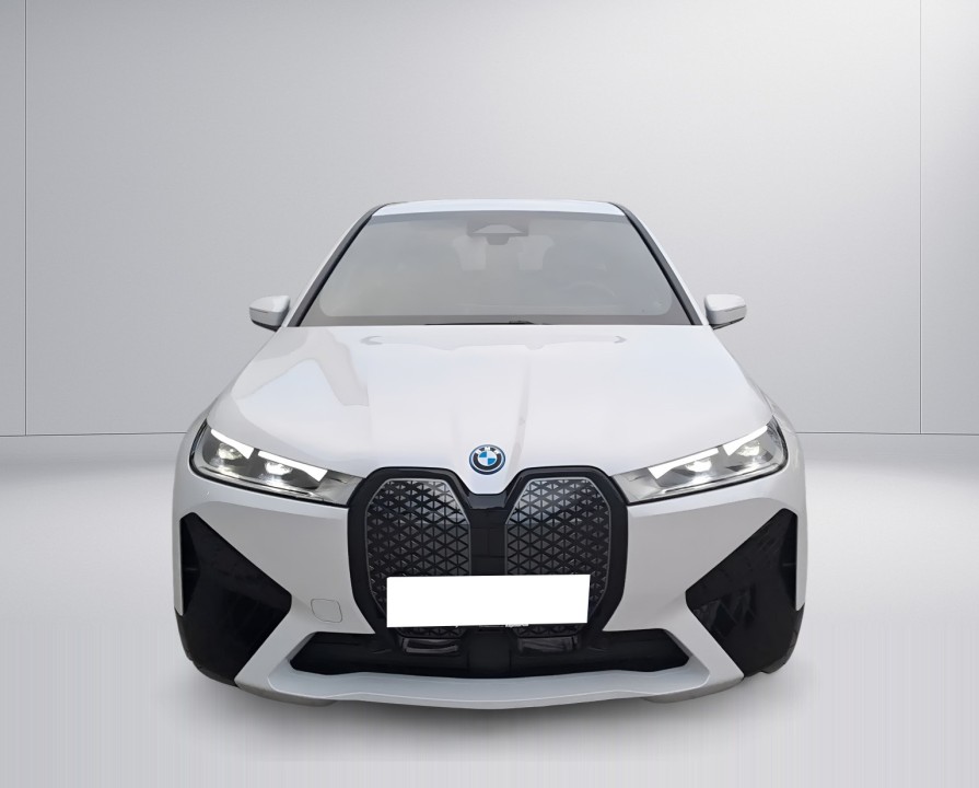 BMW iX xDrive40 (2)