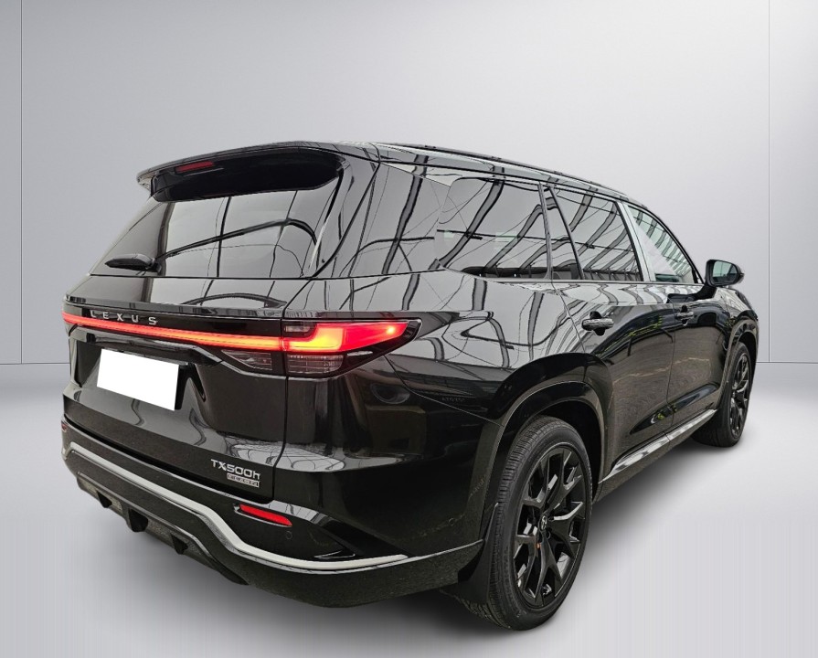 Lexus Seria TX 500h F-Sport (3)