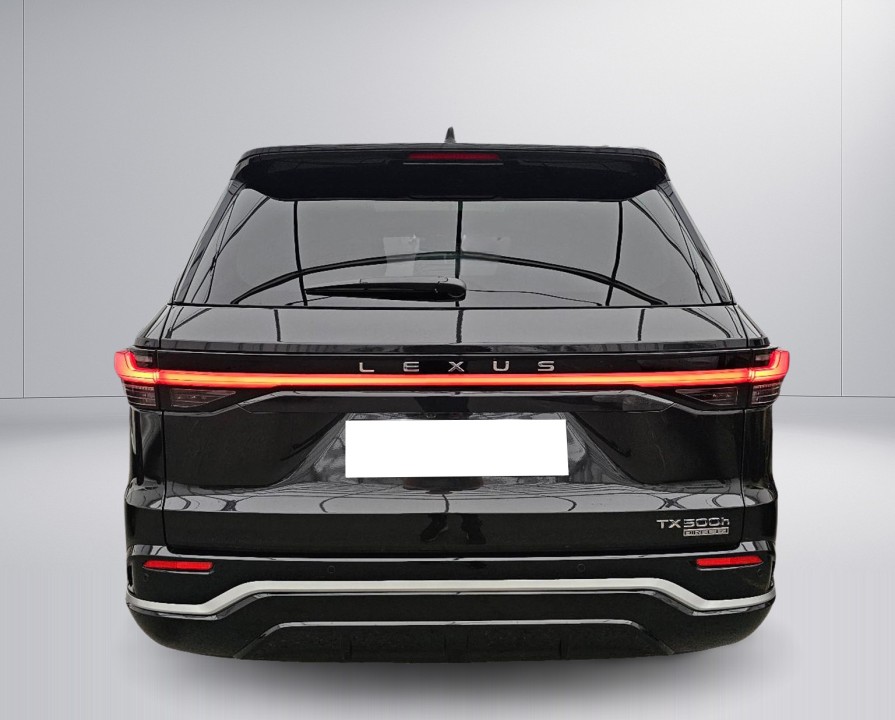 Lexus Seria TX 500h F-Sport (4)