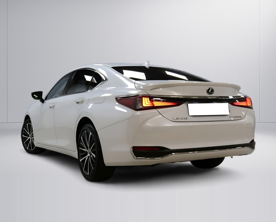 Lexus Seria ES 300h (5)