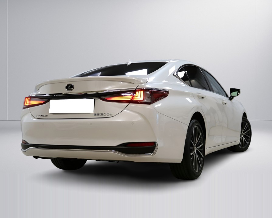 Lexus Seria ES 300h (3)