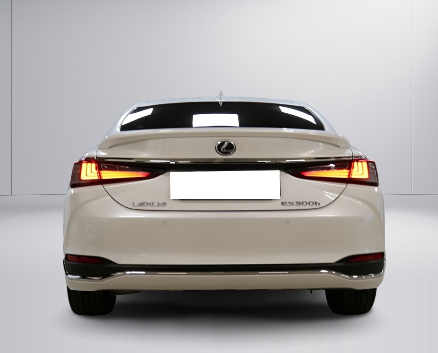 Lexus Seria ES 300h (4)
