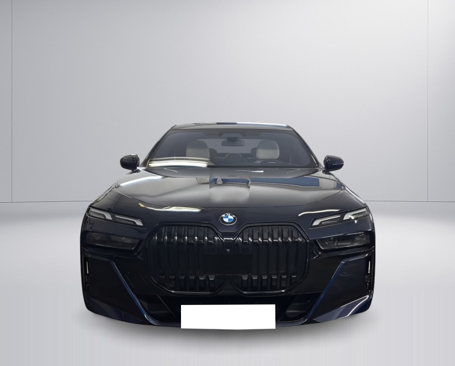 BMW Seria 7 xDrive740d M-Sport (2)