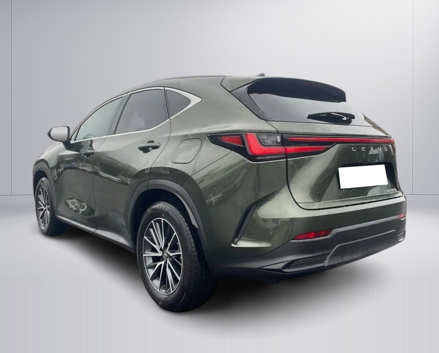 Lexus NX 350h Executive (5)
