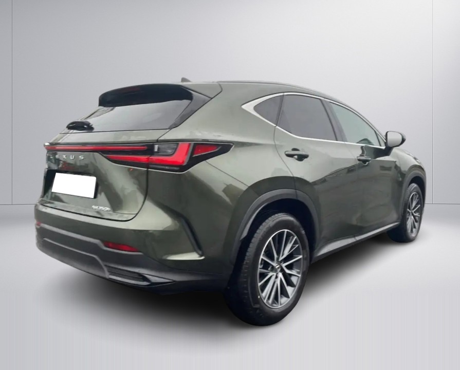 Lexus NX 350h Executive (3)