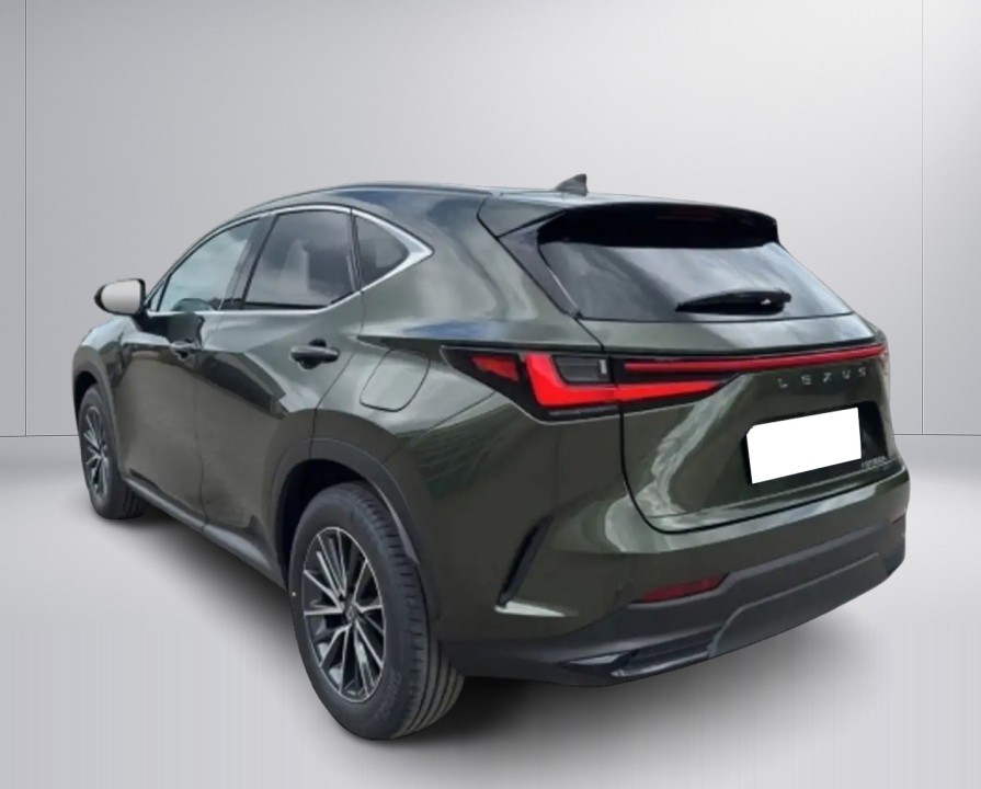 Lexus NX 350h Executive Line (5)