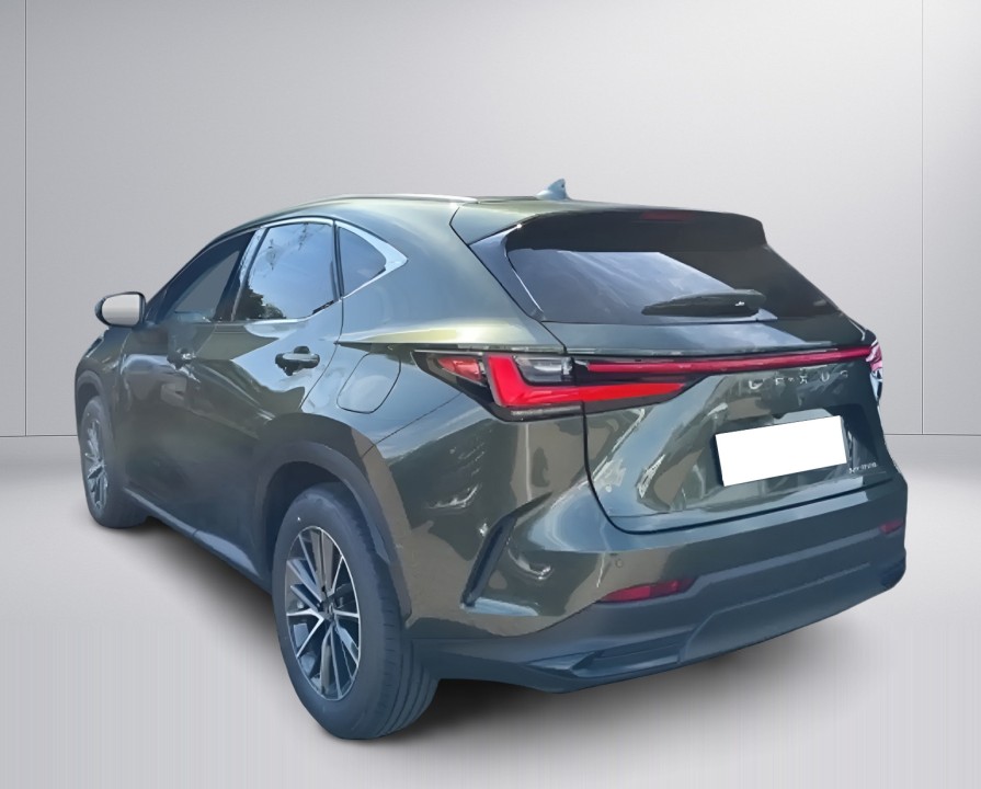 Lexus Seria NX 350h (4)