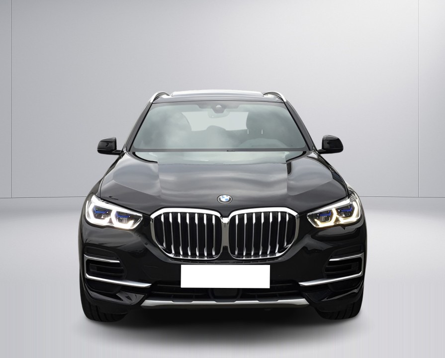 BMW X5 xDrive30d xLine (2)