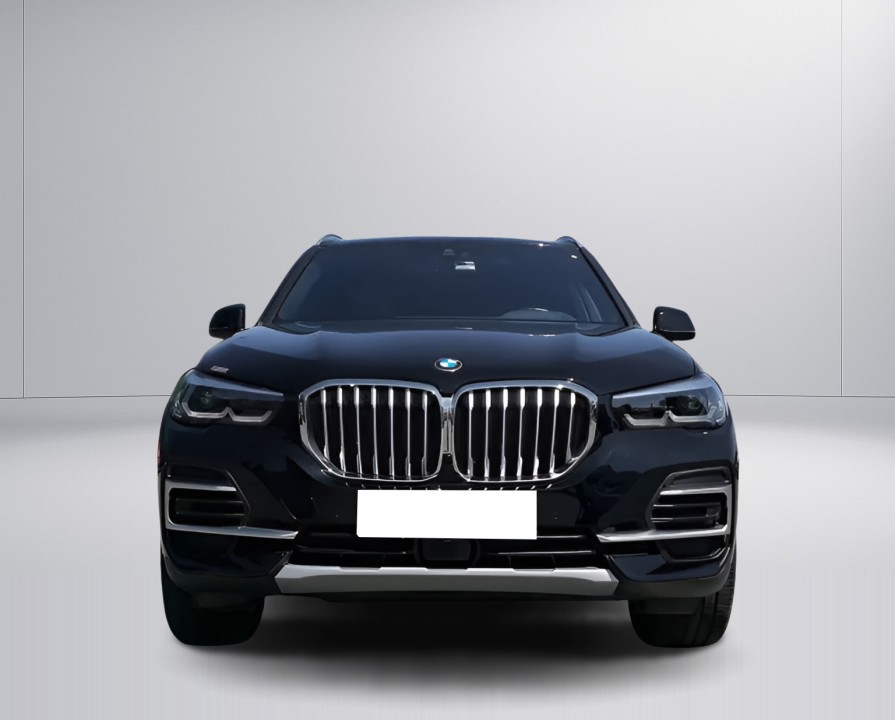 BMW X5 xDrive25d (2)