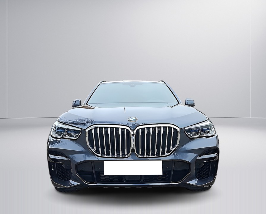 BMW X5 xDrive40d M-Sport (3)