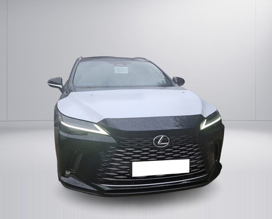 Lexus Seria RX 350h AWD Executive (2)