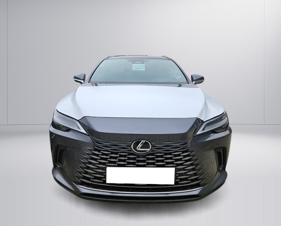 Lexus Seria RX 350h AWD Executive (2)