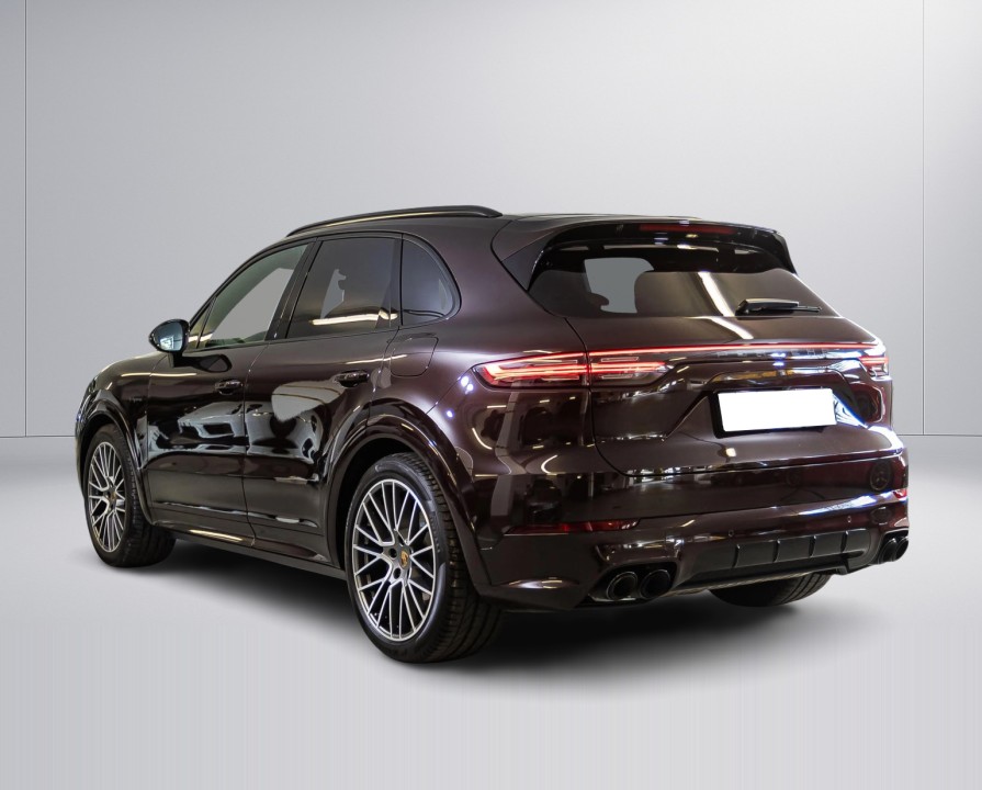 Porsche Cayenne E-Hybrid Platinum Edition (4)