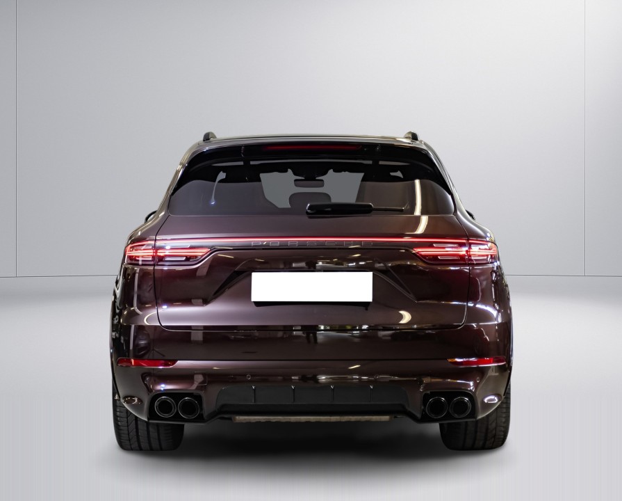 Porsche Cayenne E-Hybrid Platinum Edition (3)