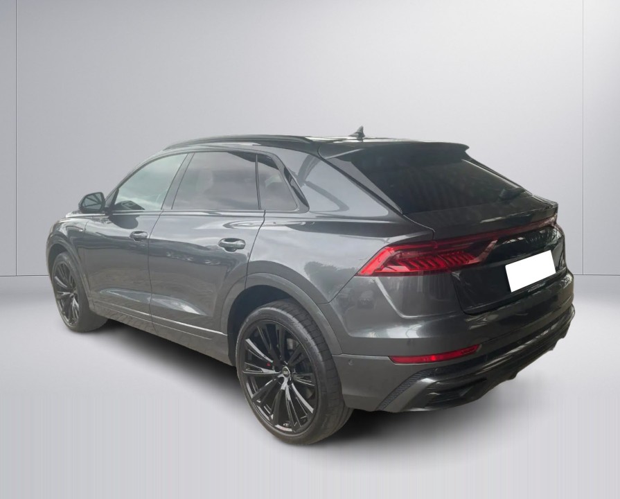 Audi Q8 50TDI quattro tiptronic S-Line (3)