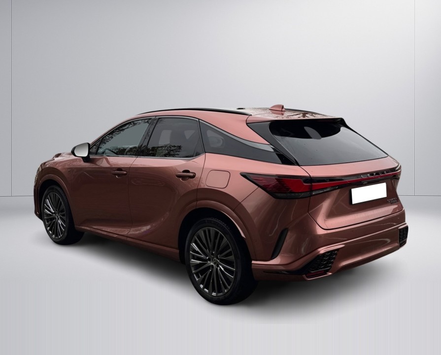 Lexus Seria RX 500h F-Sport (5)