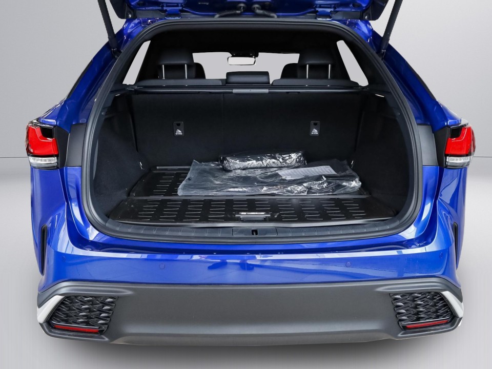 Lexus Seria RX 350h F-Sport - foto 15