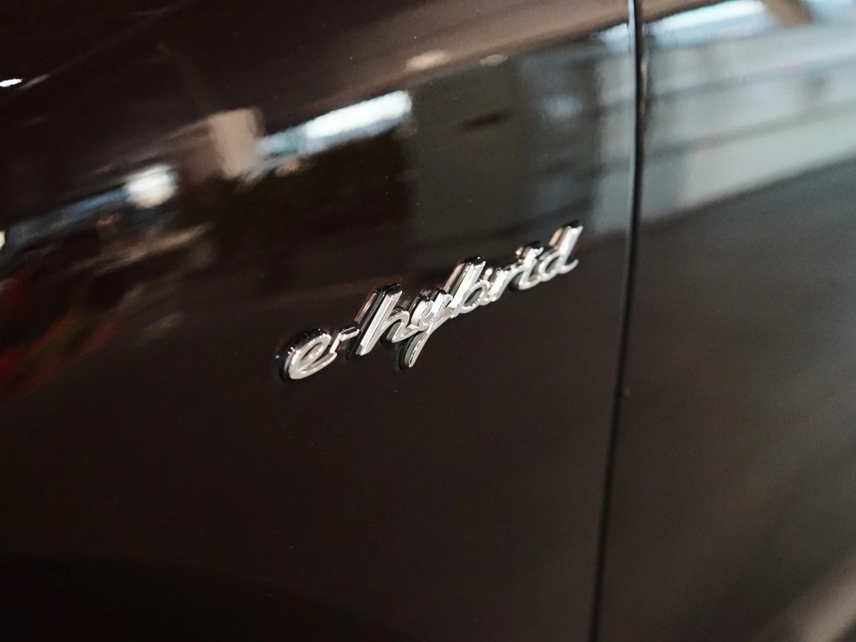 Porsche Cayenne E-Hybrid - foto 33