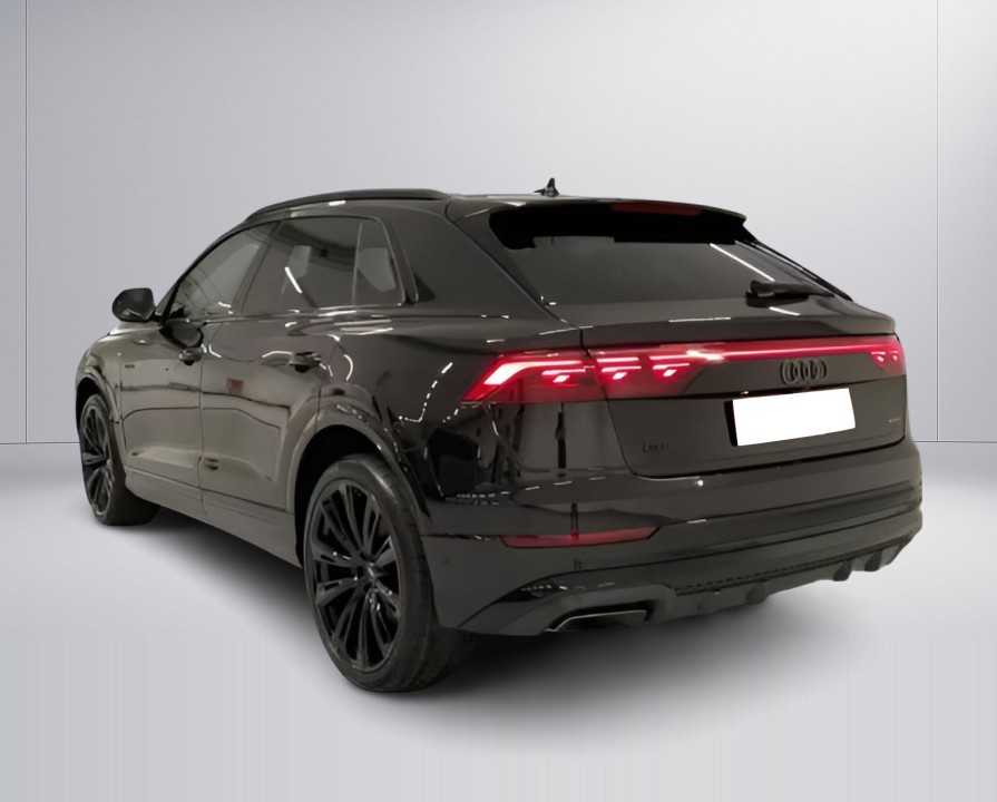 Audi Q8 50 TDI Quattro S-Line (4)