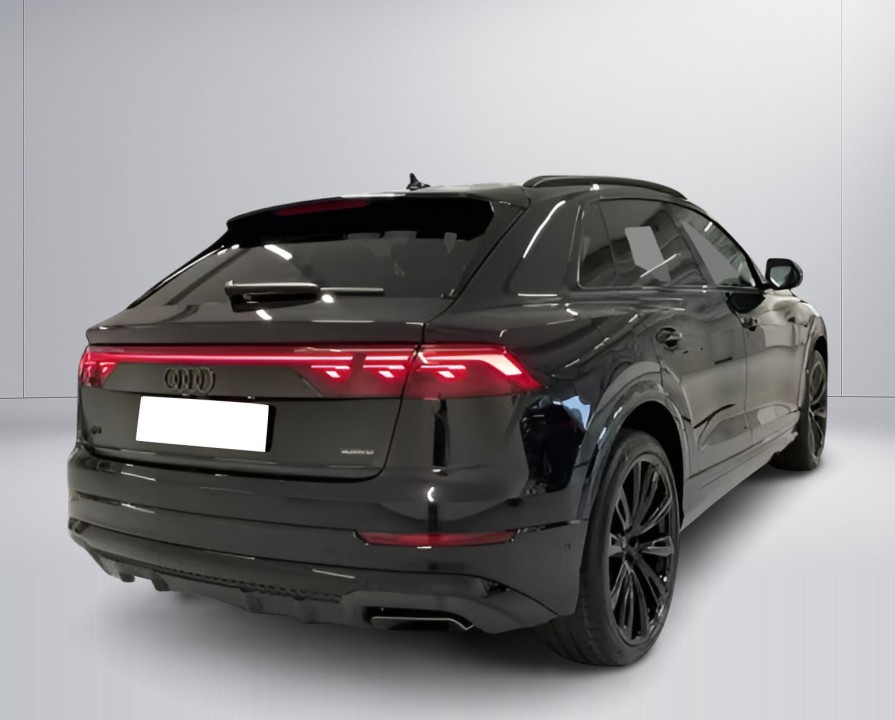 Audi Q8 50 TDI Quattro S-Line (2)