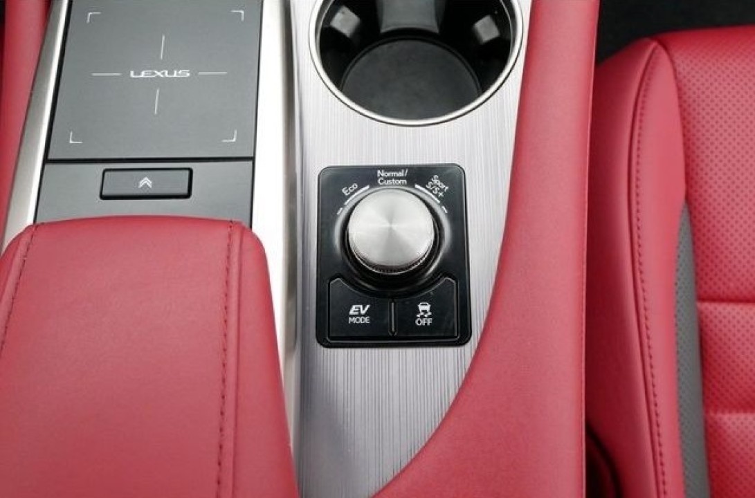 Lexus Seria RX 450h AWD F-Sport - foto 13