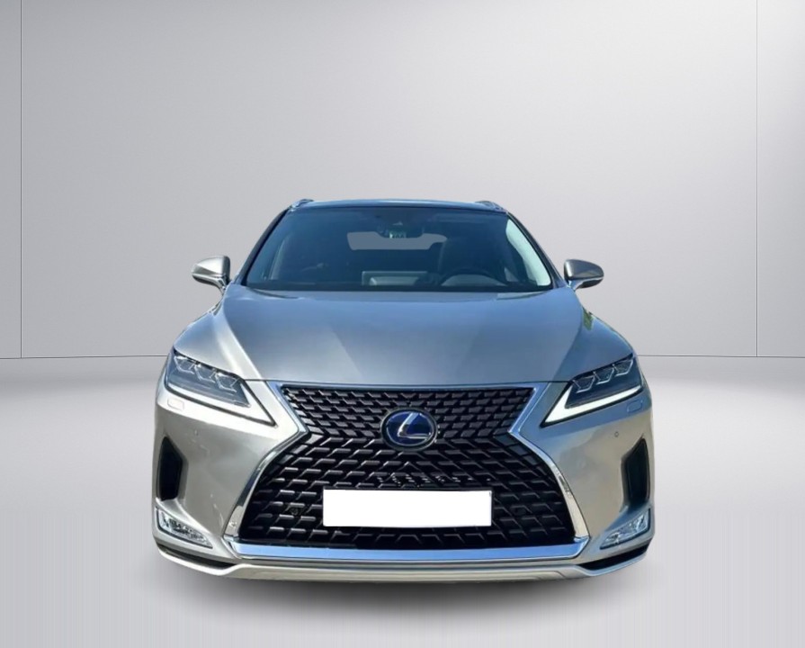 Lexus Seria RX 450h AWD Executive Line (2)