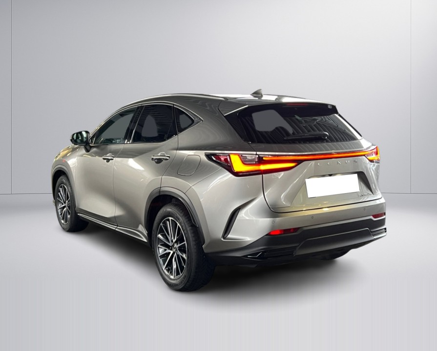 Lexus Seria NX 350h Executive (5)